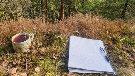 thekopp i skogen