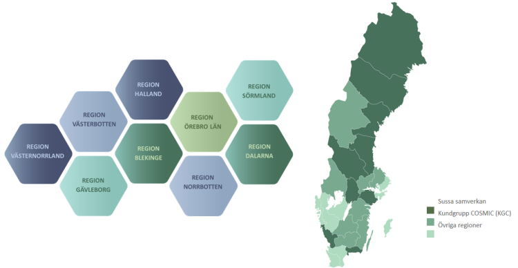 bild som visar vilka nio regioner som ing&aring;r i Sussa samverkan.